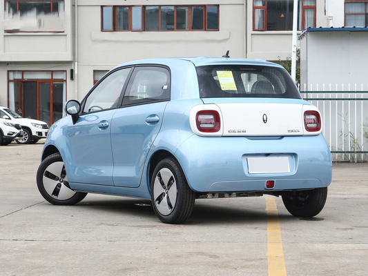 Grande Muraille pure Euler Cat Minicar 35kw 125NM de véhicule électrique de la gamme 301km