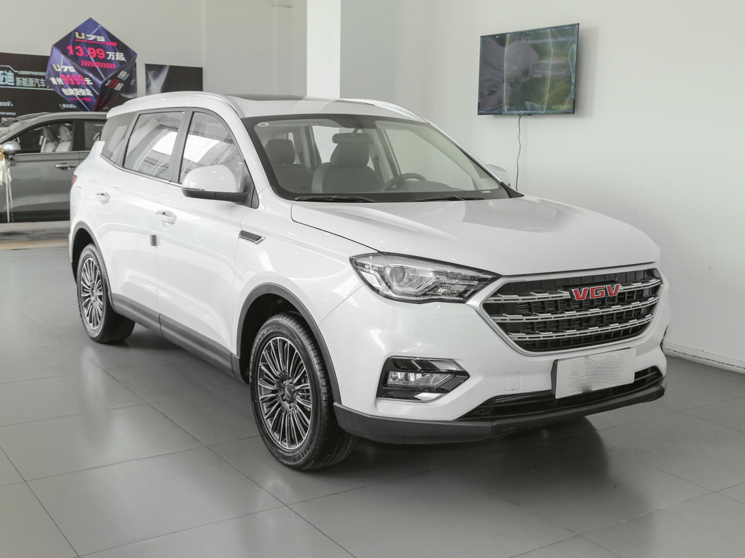 La voiture blanche SINOTRUK VGV du réservoir de carburant 55L 7 Seater a employé SUV manuel 175 km/h
